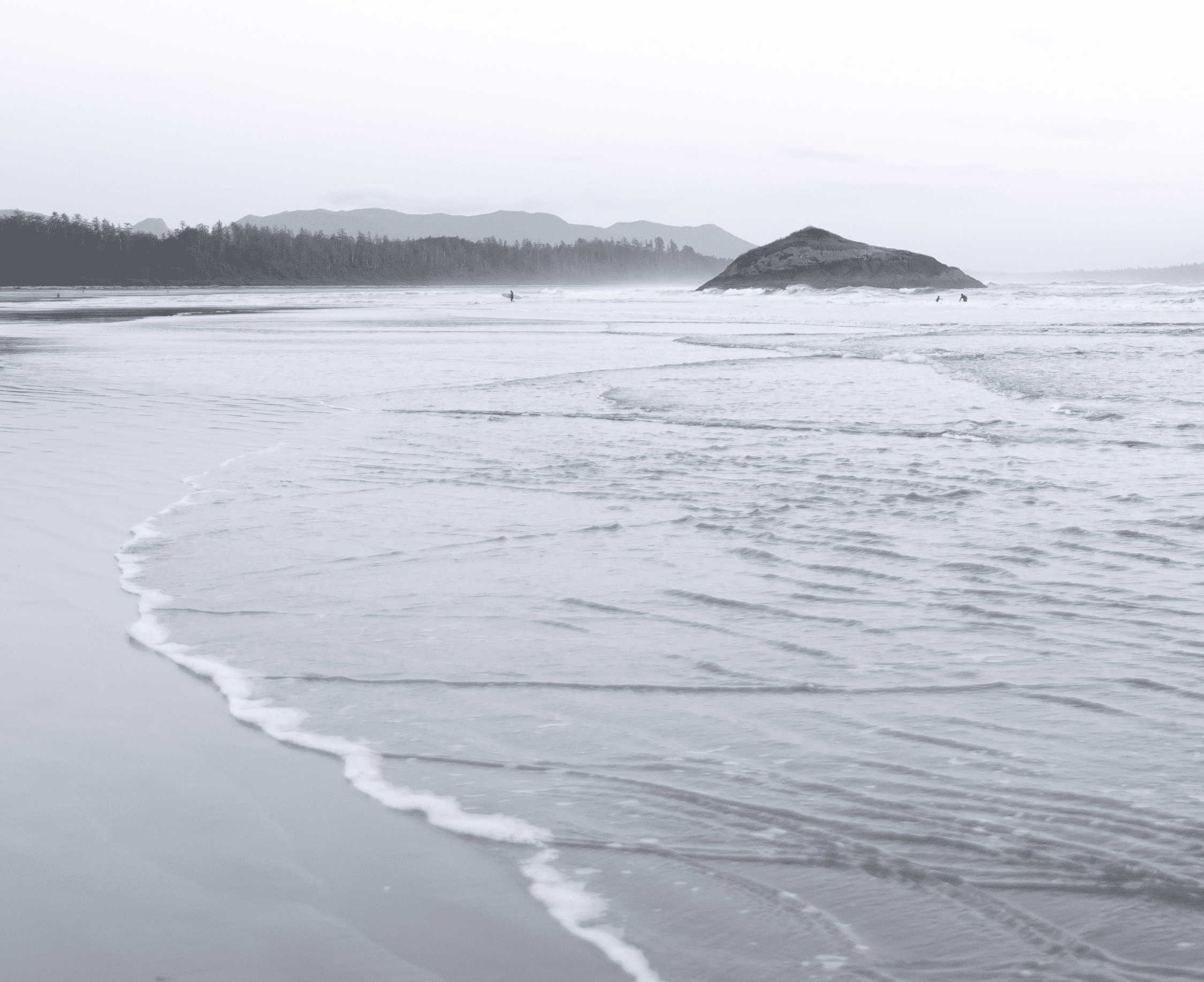 Explore Tofino and Ucluelet North Pacific Homes Vancouver Island