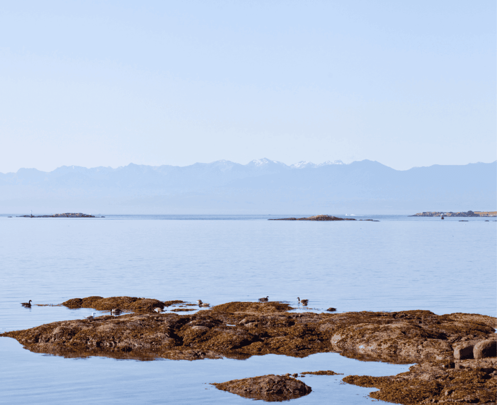 View of the water along waterfront properties in North Saanich, Victoria, BC.