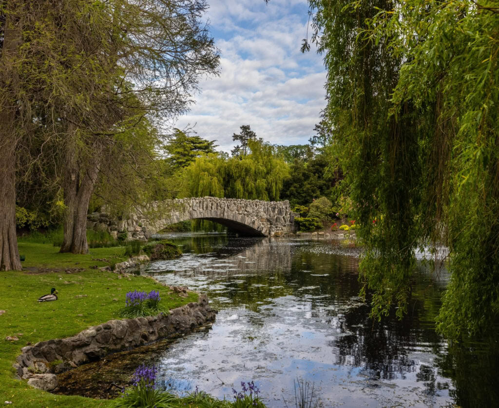 Scenic park in Victoria, BC with a stone bridge, pond, and lush greenery on Vancouver Island