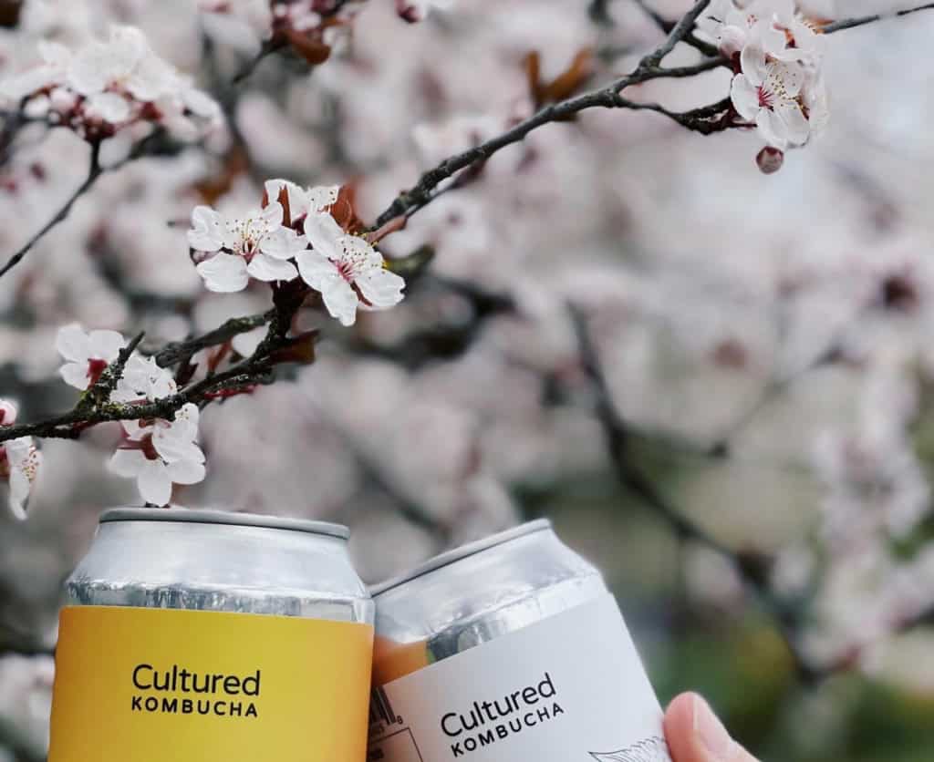 Cherry blossoms in Greater Victoria, BC in March, with local seasonal beverages in front