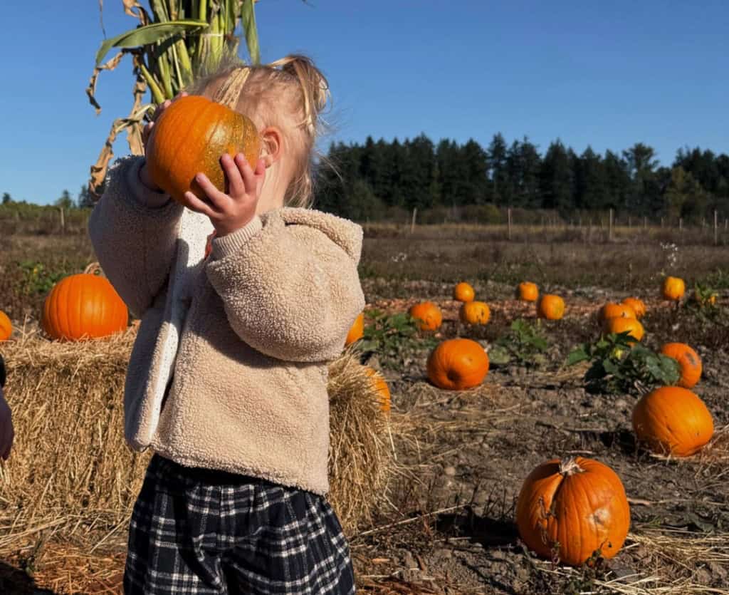 A toddler holds up a little pumpkin at a pumpkin patch in Saanich, Greater Victoria.